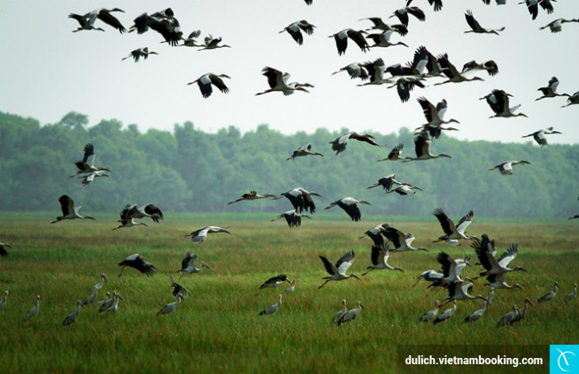 chương trinh du lich can tho 2 ngay