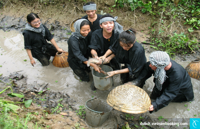 du lich vuon trai cay can tho