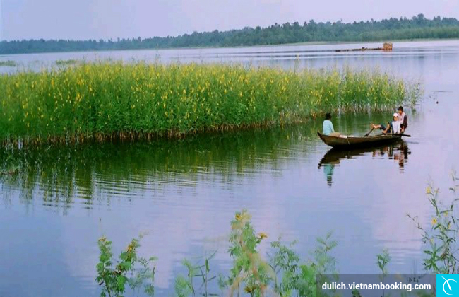 du lich can tho thang may