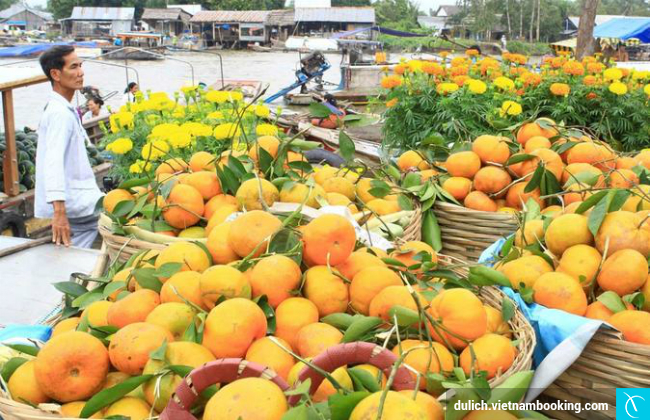 du lich can tho gia re