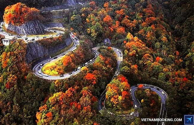 Du lịch Đài Loan mùa vàng du lich dai loan mua nao dep