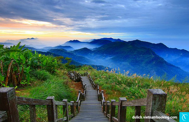 nhan lam visa du lich dai loan