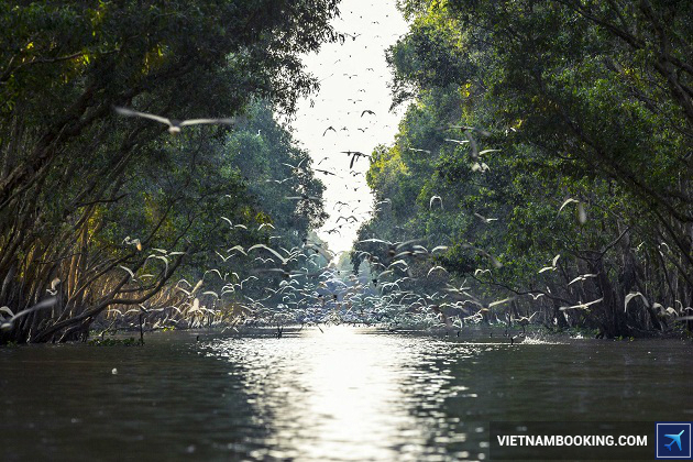 du lich gia re dong thap