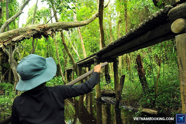 du lich xeo quyt dong thap