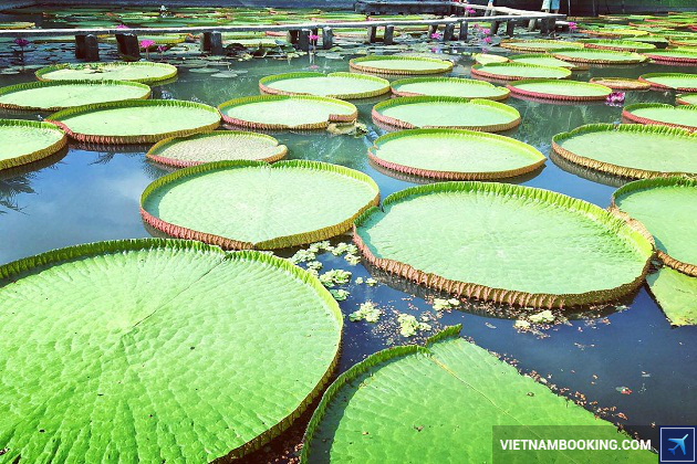 dat phong khach san dong thap