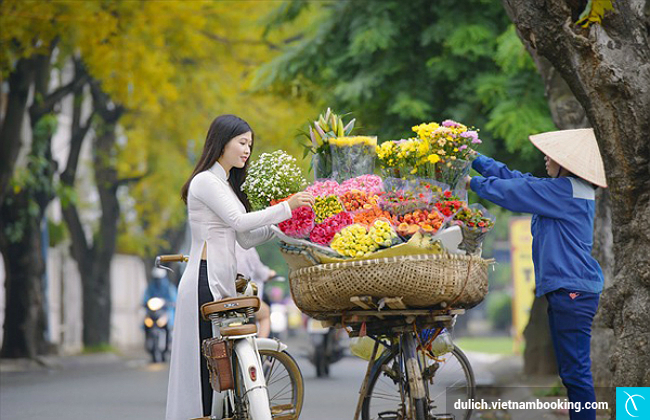 Sắc hoa mùa thu Hà Nội tong quan du lich ha noi