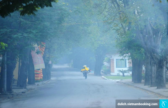 Mùa đông Hà Nội du lich ha noi mua dong