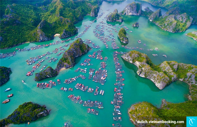 du lich gan ha noi gia re 2017