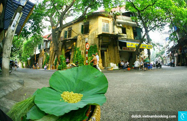 du lich ha noi nen mua gi