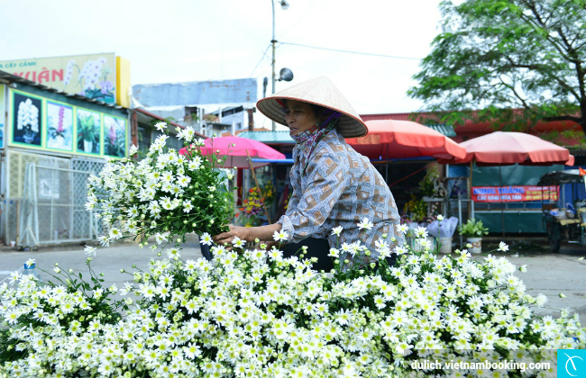 du lich ha noi 2 ngay 1 dem