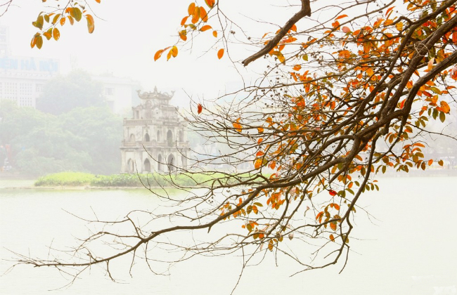 Say đắm trước vẻ đẹp của mùa thu Hà Nội
