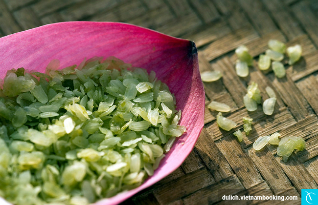 du lich ha noi va cac vung lan can