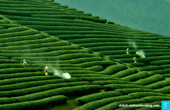 gợi ý du lịch lễ 2/9 từ hà nội