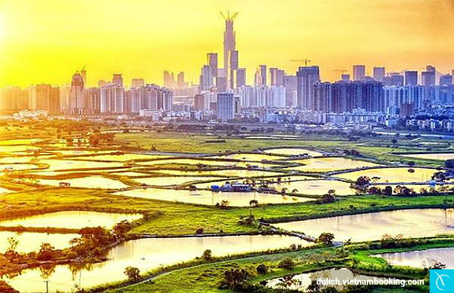  du lich hong kong gia re thang 8