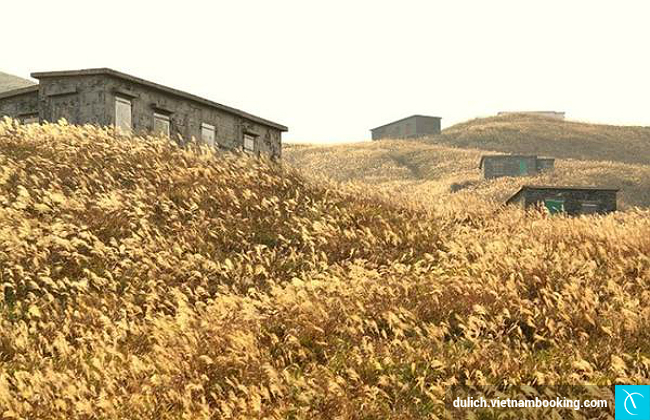 du lich bui hong kong 2017