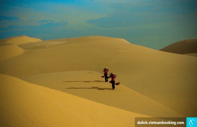 du lich sai gon binh thuan