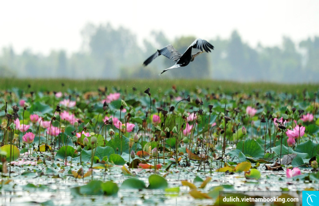 du lich sai gon can tho