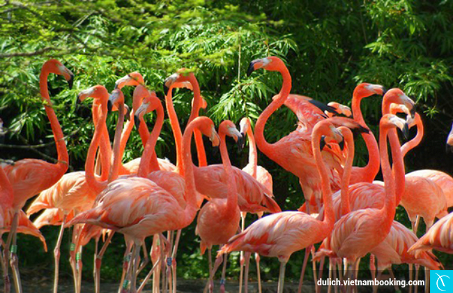 du lich gan sai gon 2 ngay