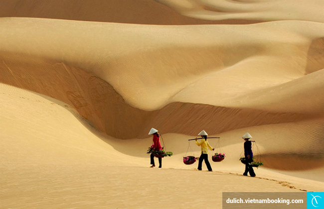 5 diem du lich gan sai gon