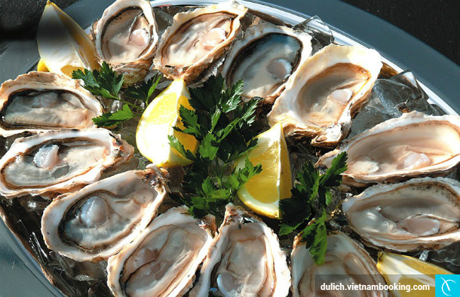 hanh trinh du lich Vung Tau