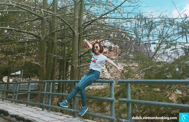 di tour du lich vung tau