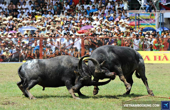 du lich xuyen a hai phong