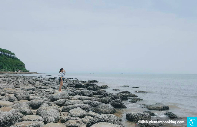 Đảo Dấu Hải Phòng du lich hon dau hai phong