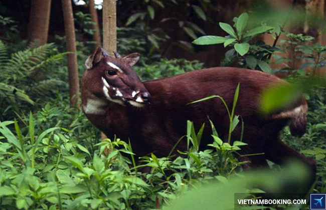 tuan le du lich van hoa quang binh