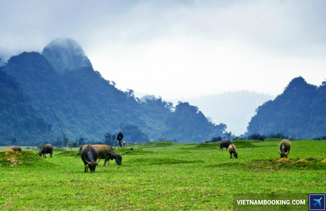 Người dân Quảng Bình lam lũ cần cù tiem nang phat trien du lich quang binh