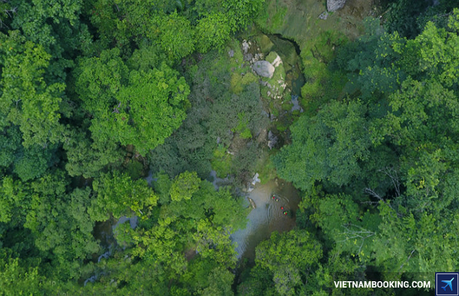 Hệ sinh thái rừng Quảng Bình du lich xanh quang binh