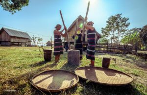 Tour du lịch Buôn Ma Thuột – Hồ Lắk – Thác Dray Nur – Buôn Đôn 3N2Đ