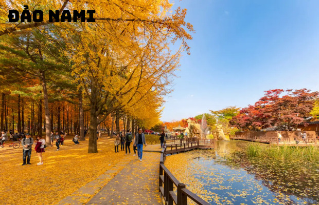Tour Hàn Quốc mùa thu 5 Ngày 4 Đêm: Seoul – Jeju – Nami
