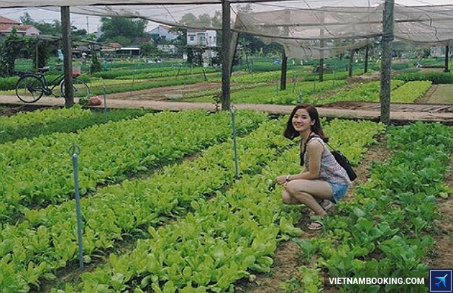 hướng dẫn du lịch hội an