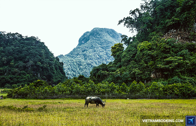 du lịch quảng bình tết 2017