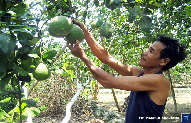 du lịch làng đại bình quảng nam
