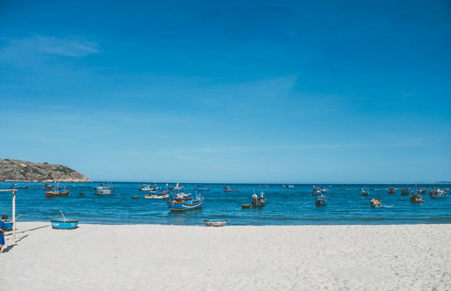 tour du lịch quy nhơn bình định 