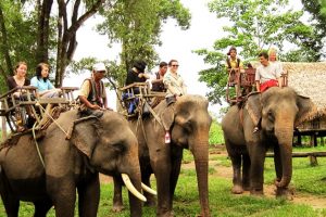 Chốt ngay vé máy bay Vietnam Airlines từ Hà Nội đi Buôn Ma Thuột giá hời