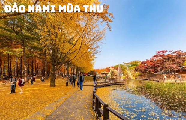 Tour Hàn Quốc 4N4Đ: Khám Phá Seoul – Trải Nghiệm Văn Hóa & Giải Trí Đỉnh Cao