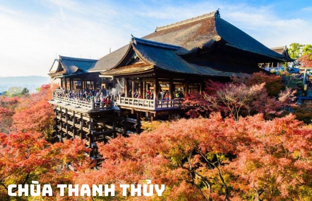 Tour du lịch Nhật Bản tháng 11: Chiêm ngưỡng mùa thu lá đỏ 6N5Đ