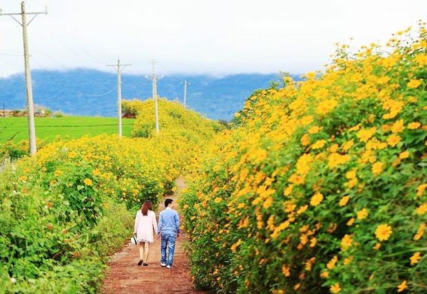 v&eacute; m&aacute;y bay gi&aacute; rẻ th&aacute;ng 11/2017