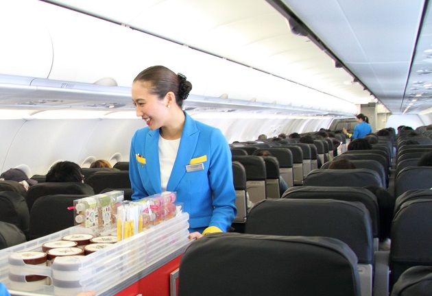 ve may bay gia re vanilla air