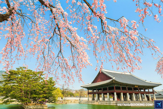 visa di han quoc du hoc