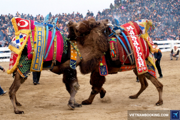 dịch vụ l&agrave;m visa đi thổ nhĩ kỳ du lịch