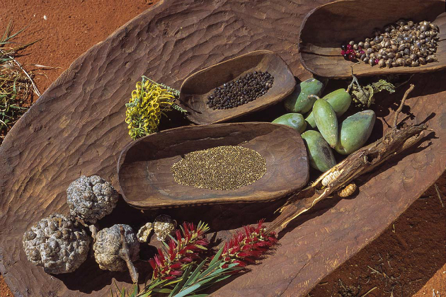 dịch vụ l&agrave;m visa đi &uacute;c du lịch