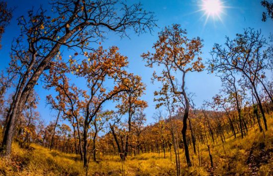 kinh nghiệm đi du lịch bình phước