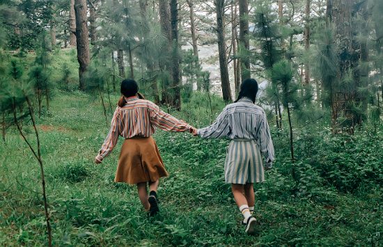 du lịch đà lạt ngắm hoa dã quỳ