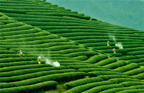 du lịch đà lạt cần bao nhiêu tiền