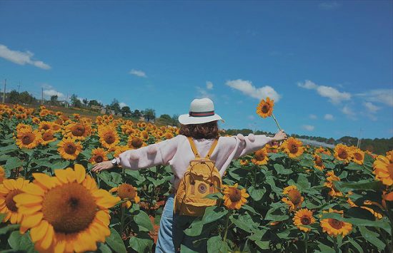 du lịch đà lạt tháng nào đẹp