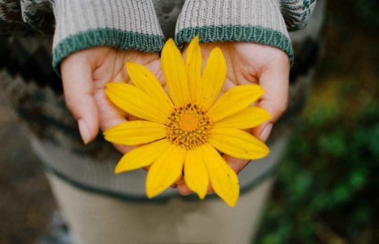 du lịch đà lạt nên đi vào tháng mấy