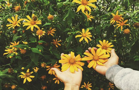 kinh nghiệm du lịch đà lạt bằng xe máy